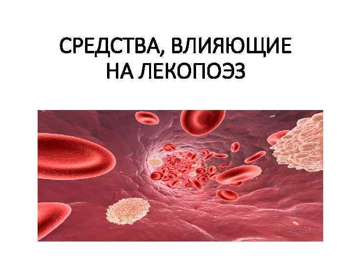 СРЕДСТВА, ВЛИЯЮЩИЕ НА ЛЕКОПОЭЗ 