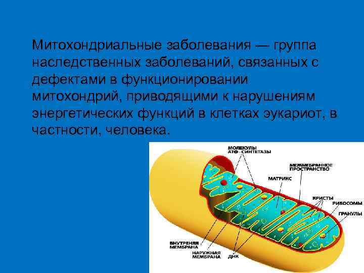 Митохондриальные заболевания — группа наследственных заболеваний, связанных с дефектами в функционировании митохондрий, приводящими к