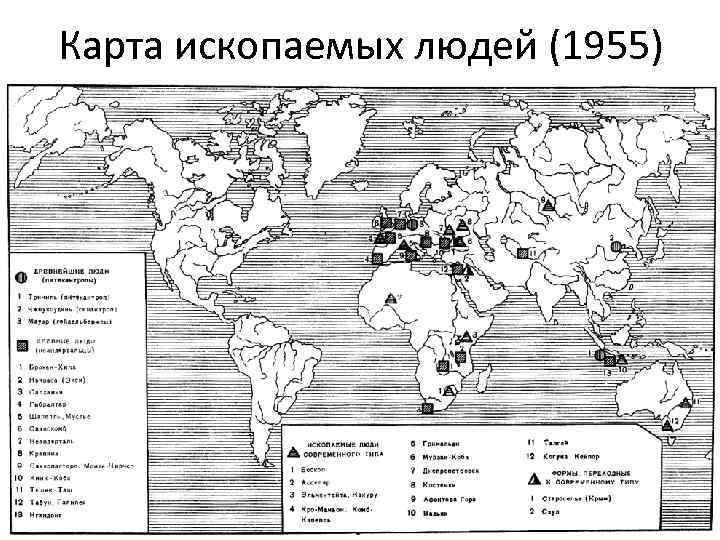 Карта ископаемых людей (1955) 