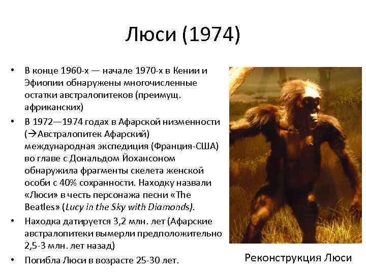     Люси (1974) • В конце 1960 -х — начале 1970