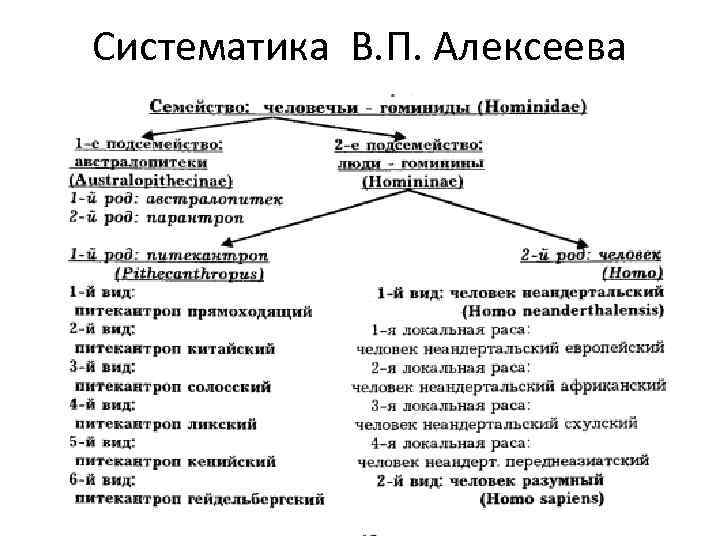 Систематика В. П. Алексеева 