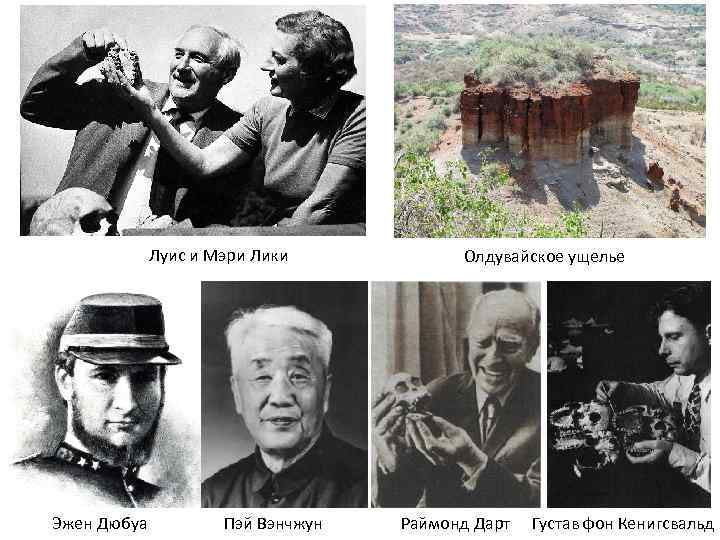    Луис и Мэри Лики  Олдувайское ущелье Эжен Дюбуа  Пэй