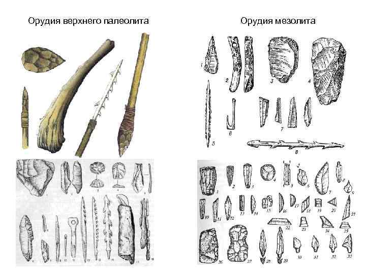 Орудия верхнего палеолита Орудия мезолита 