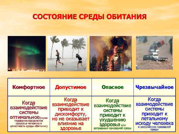   СОСТОЯНИЕ СРЕДЫ ОБИТАНИЯ Комфортное   Допустимое   Опасное  Чрезвычайное