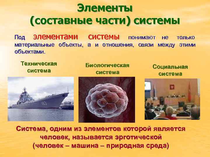   Элементы (составные части) системы Под элементами  системы понимают не только материальные