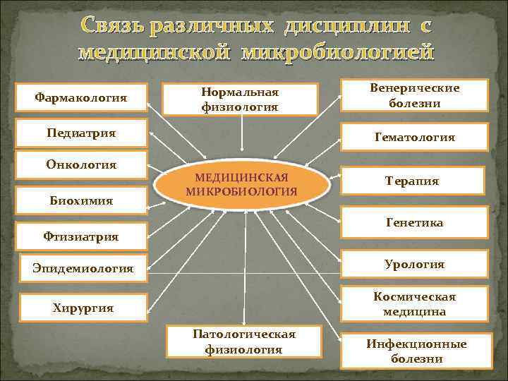  Связь различных дисциплин с медицинской микробиологией Нормальная Венерические Фармакология болезни физиология Педиатрия Гематология