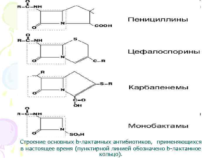 Строение основных b-лактамных антибиотиков, применяющихся в настоящее время (пунктирной линией обозначено b-лактамное кольцо). 