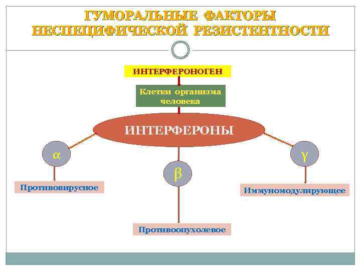 Факторы неспецифической резистентности схема