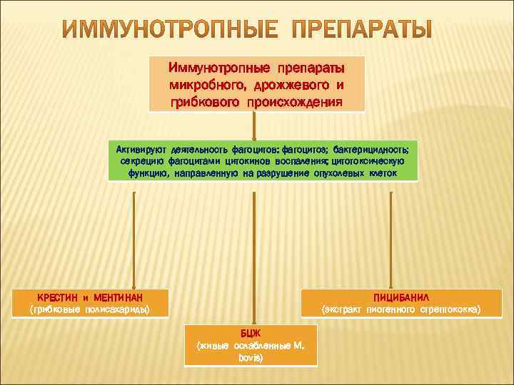  Иммунотропные препараты микробного, дрожжевого и грибкового происхождения Активируют деятельность фагоцитов: фагоцитоз; бактерицидность; секрецию