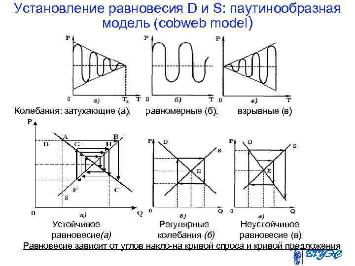 Установление равновесия D и S: паутинообразная модель (cobweb model) Колебания: затухающие (а), равномерные (б),