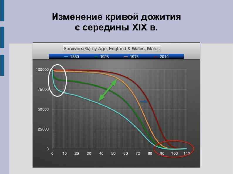 Изменение кривой дожития с середины XIX в. 