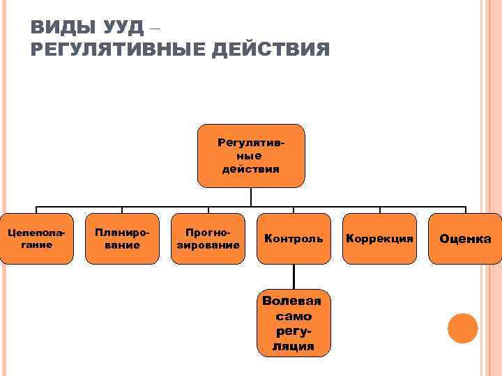   ВИДЫ УУД –  РЕГУЛЯТИВНЫЕ ДЕЙСТВИЯ      Регулятив-