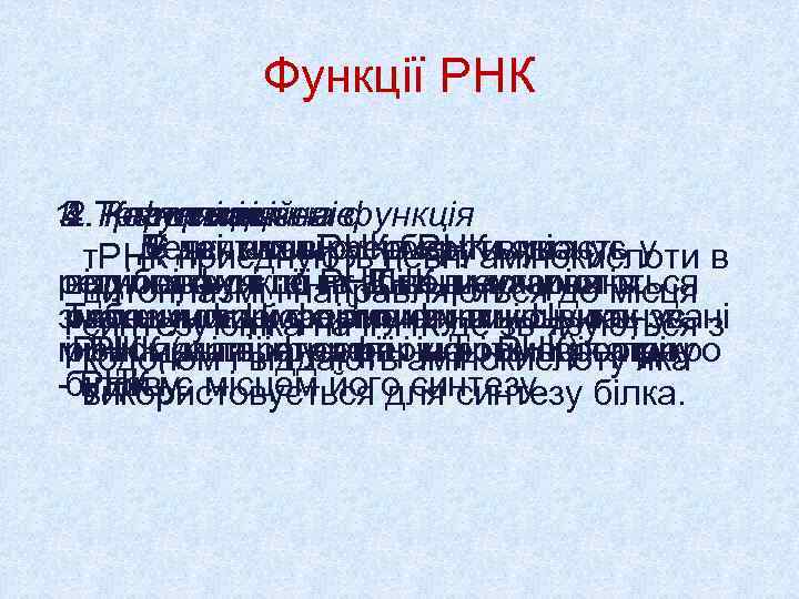   Функції РНК 1. Трансляціягенів 3. Регуляція 4. Каталітична 2. Інформаційна функція 