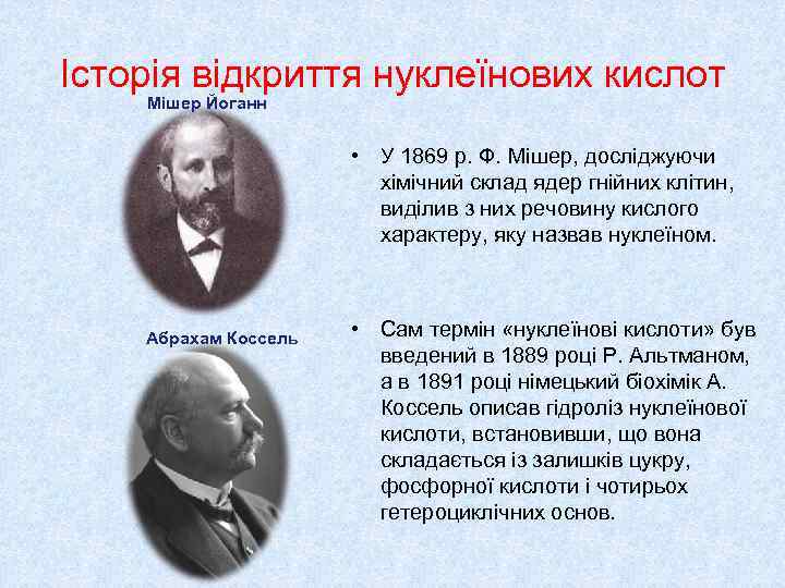 Історія відкриття нуклеїнових кислот Мішер Йоганн     • У 1869 р.