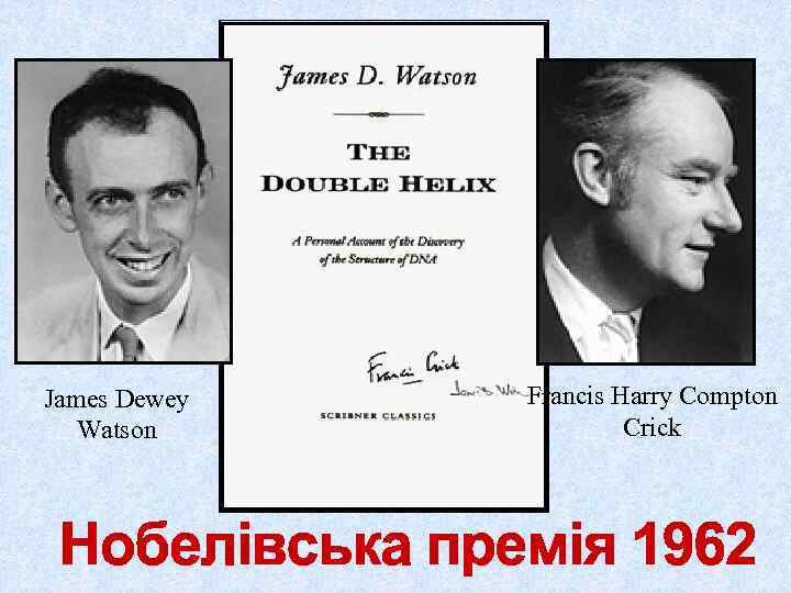 James Dewey  Francis Harry Compton  Watson   Crick 