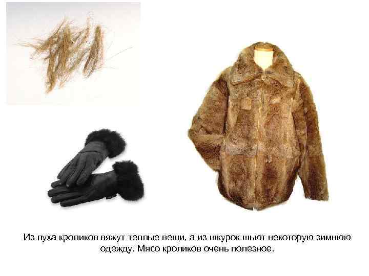 Из пуха кроликов вяжут теплые вещи, а из шкурок шьют некоторую зимнюю  