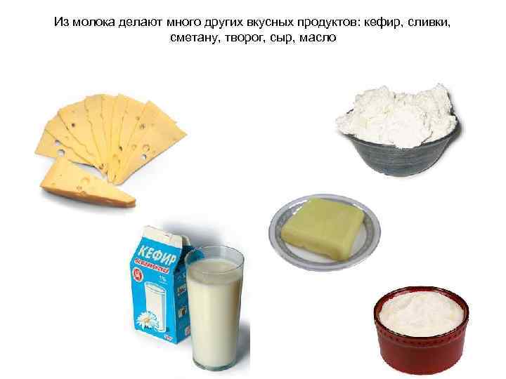 Из молока делают много других вкусных продуктов: кефир, сливки,    сметану, творог,