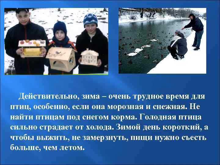  Действительно, зима – очень трудное время для птиц, особенно, если она морозная и