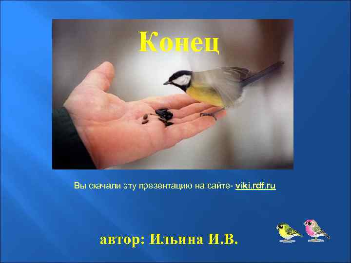  Конец Вы скачали эту презентацию на сайте- viki. rdf. ru автор: Ильина И.