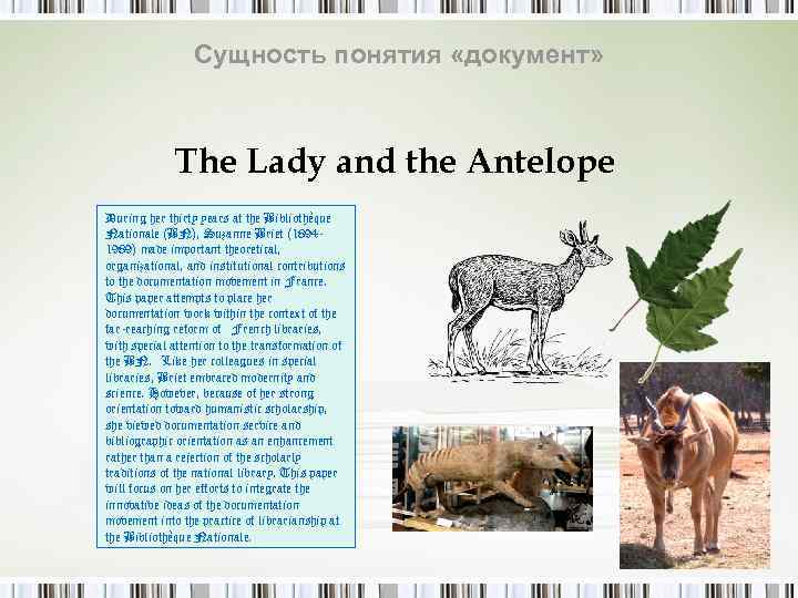    Сущность понятия «документ»   The Lady and the Antelope During