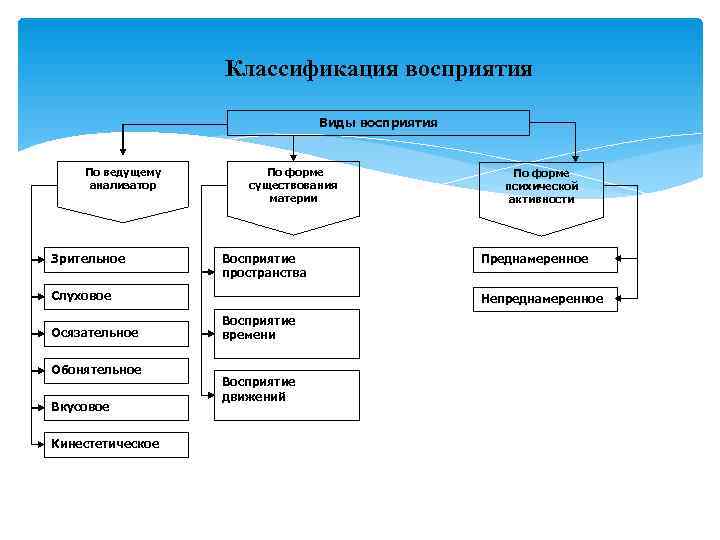    Классификация восприятия      Виды восприятия  По