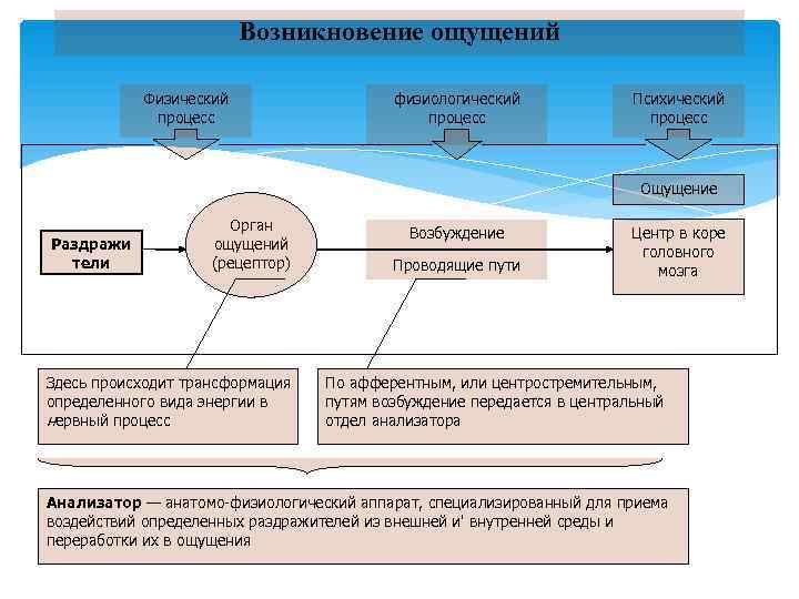     Возникновение ощущений   Физический    физиологический 