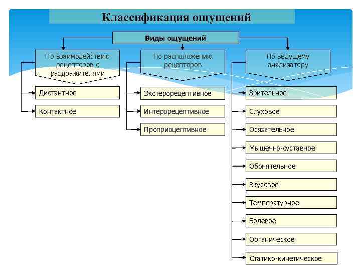     Классификация ощущений     Виды ощущений  По