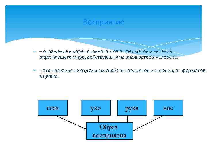      Восприятие – отражение в коре головного мозга предметов и