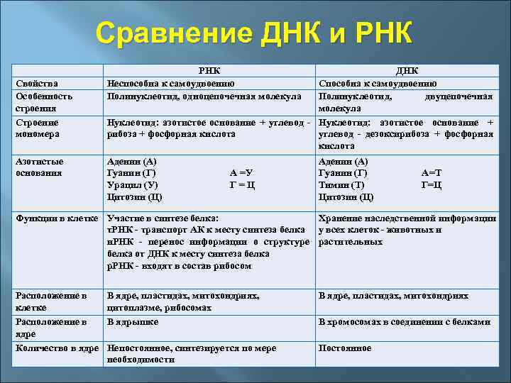  Сравнение ДНК и РНК ДНК Свойства Неспособна к самоудвоению Способна к самоудвоению Особенность