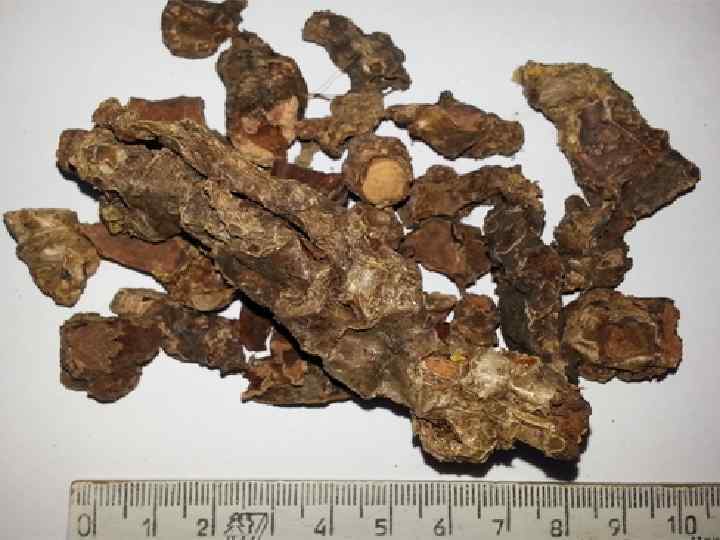 Лигнаны – димерные соединения фенольной природы, состоящие из 2 -х фенилпропановых Лигнаны – димерные соединения фенольной природы, состоящие из 2 -х фенилпропановых