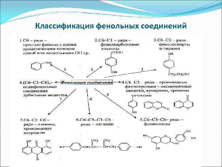 Классификация фенольных соединений Классификация фенольных соединений