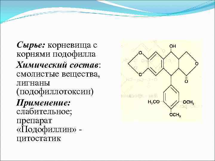 Сырье: плоды амми большой Химический состав: фурокумарины (бергаптен) Применение: фотосенсибилизирующее действие. Препарат «Аммифурин» - Сырье: плоды амми большой Химический состав: фурокумарины (бергаптен) Применение: фотосенсибилизирующее действие. Препарат «Аммифурин» -