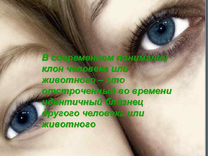 В современном понимании клон человека или животного – это отстроченный во времени идентичный близнец