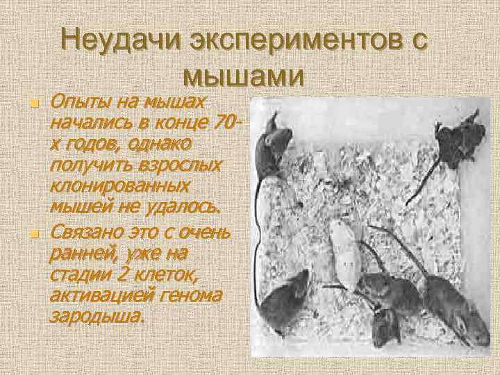  Неудачи экспериментов с   мышами n  Опыты на мышах начались в