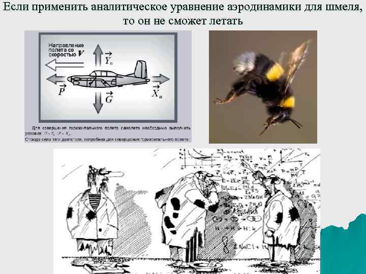 Если применить аналитическое уравнение аэродинамики для шмеля, то он не сможет летать 