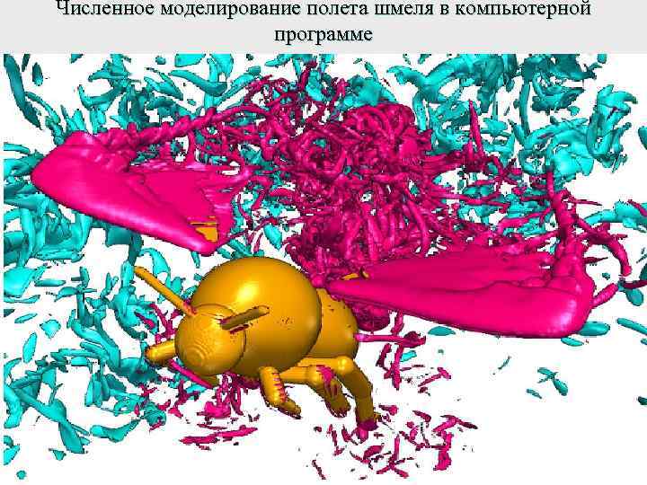 Численное моделирование полета шмеля в компьютерной программе 