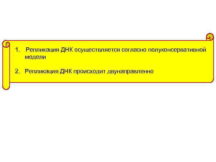 1. Репликация ДНК осуществляется согласно полуконсервативной модели 2. Репликация ДНК происходит двунаправленно 