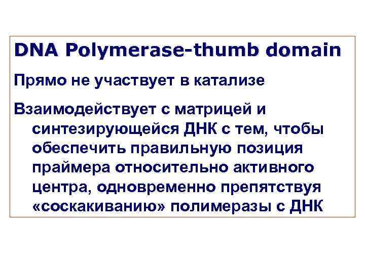 DNA Polymerase-thumb domain Прямо не участвует в катализе Взаимодействует с матрицей и синтезирующейся ДНК