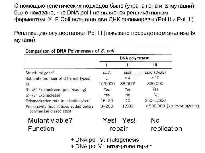 С помощью генетических подходов было (утрата гена и ts мутации) было показано, что DNA