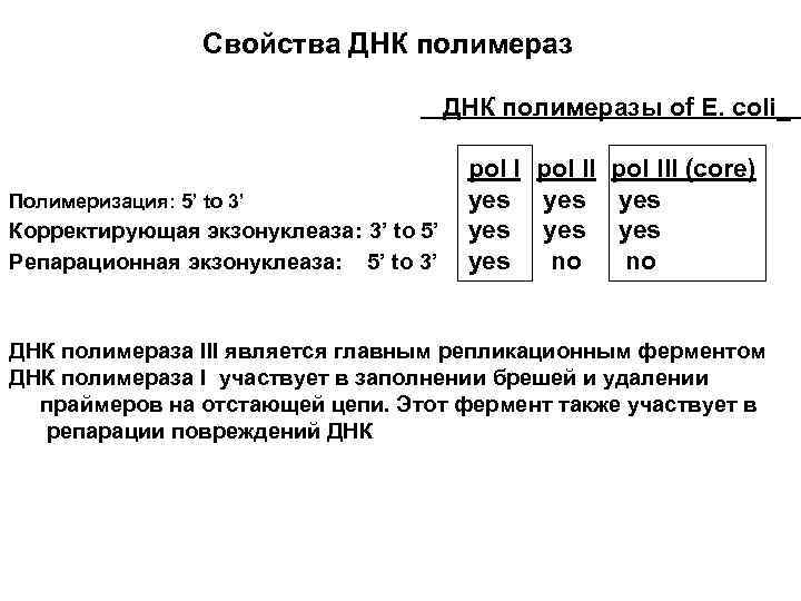  Свойства ДНК полимераз ДНК полимеразы of E. coli_ pol III (core) Полимеризация: 5’