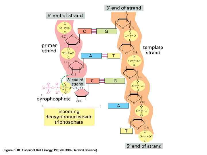 Schematic 3 