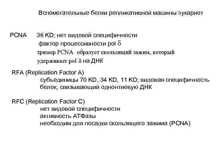  Вспомогательные белки репликативной машины эукариот PCNA 36 KD; нет видовой специфичности фактор процессивности