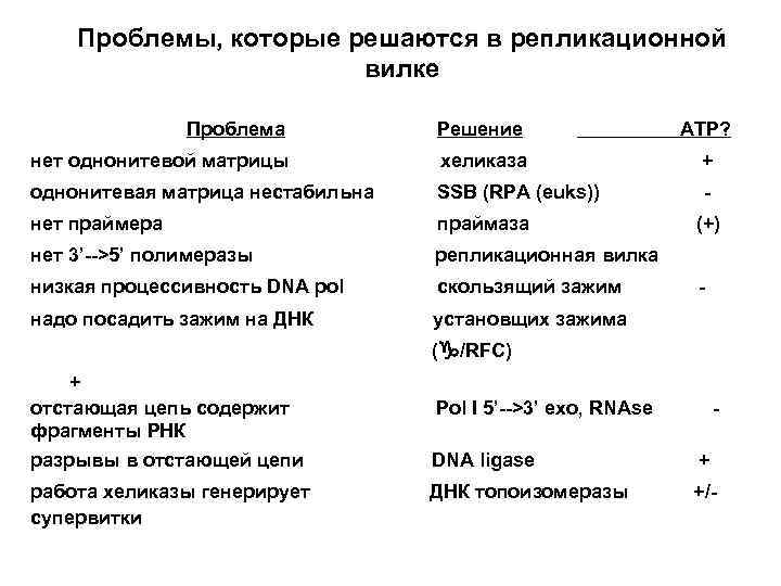  Проблемы, которые решаются в репликационной вилке Проблема Решение ATP? нет однонитевой матрицы хеликаза