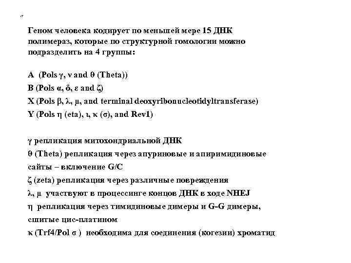 Геном человека кодирует по меньшей мере 15 ДНК полимераз, которые по структурной гомологии можно