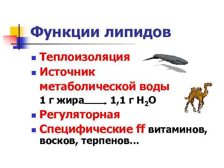  Домашнее задание 1.  Внимательно прочитайте § 3 2.  Самые умные, попробуйте