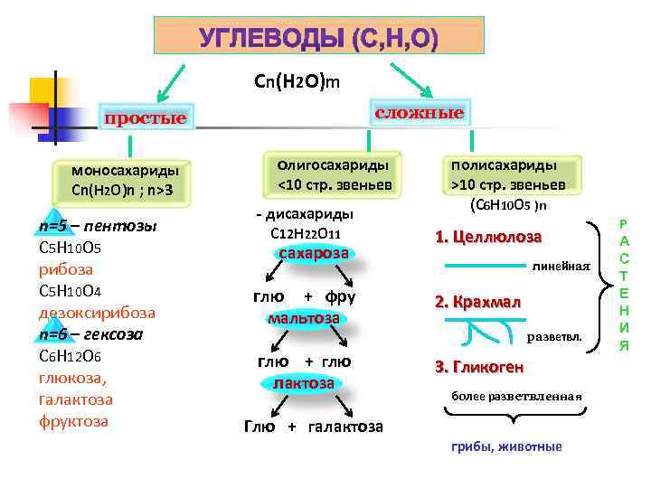 Органические вещества углеводы классификация строение и функции. Классификация углеводов биология. Классификация углеводов химия таблица.