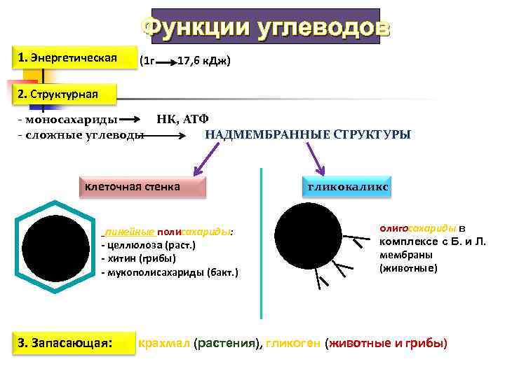     Функции углеводов 1. Энергетическая  (1 г  17, 6