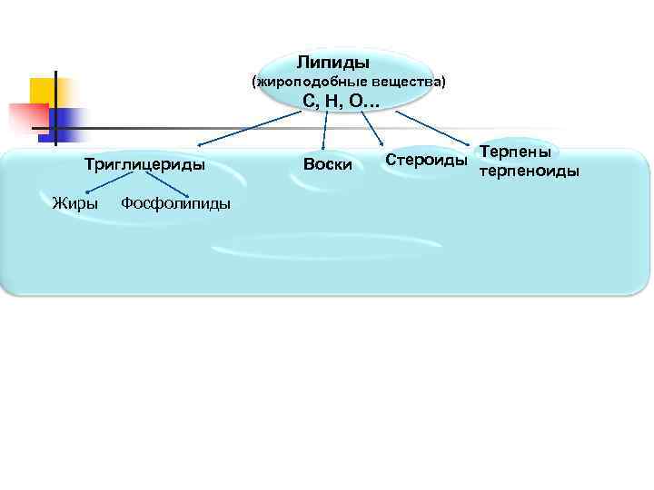      Липиды     (жироподобные вещества)  