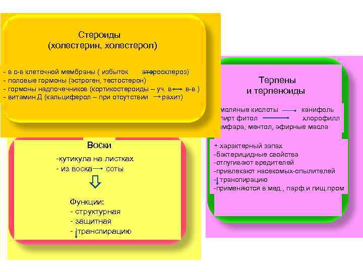     Стероиды   (холестерин, холестерол) - в с-в клеточной мембраны