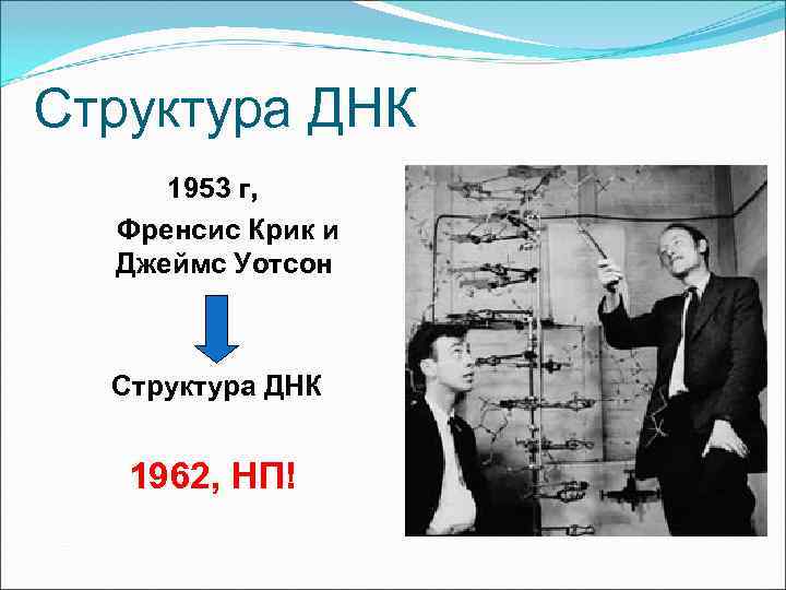 Структура ДНК 1953 г,  Френсис Крик и  Джеймс Уотсон Структура ДНК 1962,